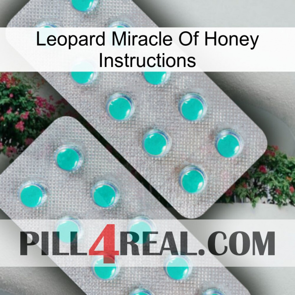 Leopard Miracle Of Honey Instructions 29.jpg